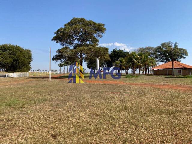 #8849 - Fazenda para Venda em Santa Cruz das Palmeiras - SP - 1