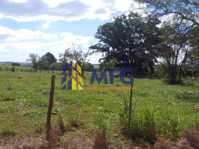 #15414 - Fazenda para Venda em Araçatuba - SP - 3