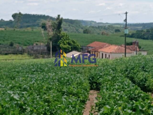 #17222 - Fazenda para Venda em São Miguel Arcanjo - SP - 1