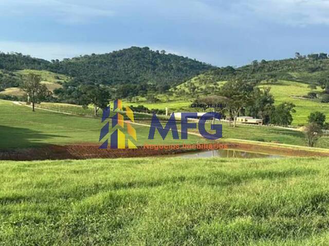 #18006 - Fazenda para Venda em Guaranésia - MG - 2