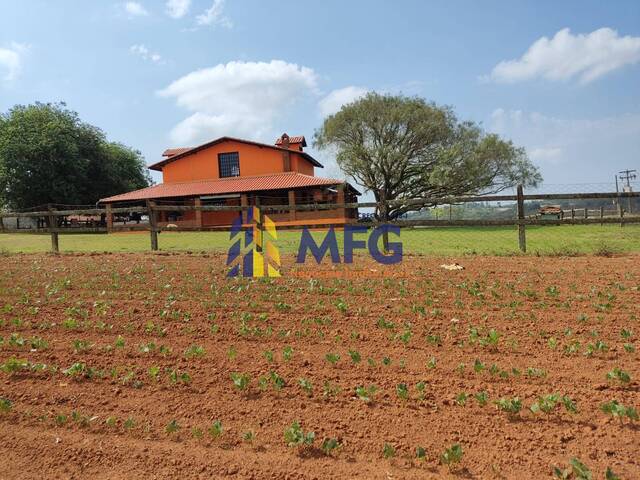 #18099 - Fazenda para Venda em São Miguel Arcanjo - SP - 3