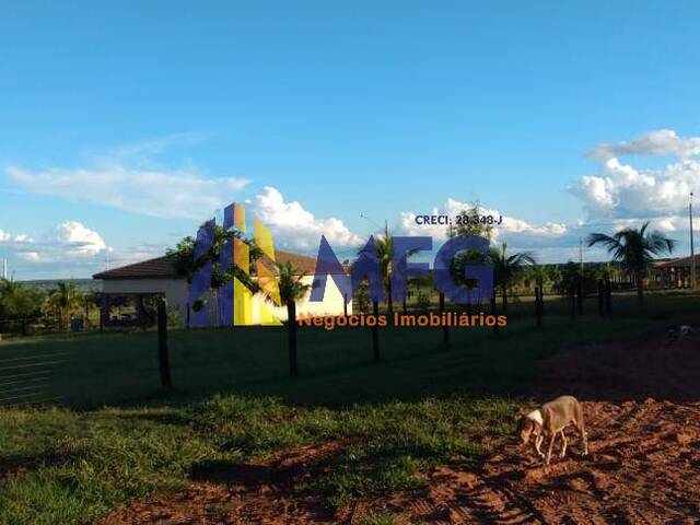 #18572 - Fazenda para Venda em Ribas do Rio Pardo - MS - 3